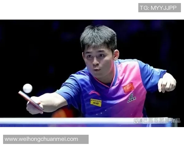 杭州乒乓球队战术解析与训练策略探讨聚焦乒乓球发展新方向